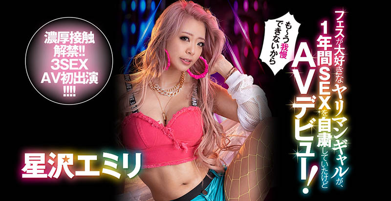 星沢エミリ(星泽惠美里,Hoshizawa-Emiri)作品BLK-508介绍及封面预览