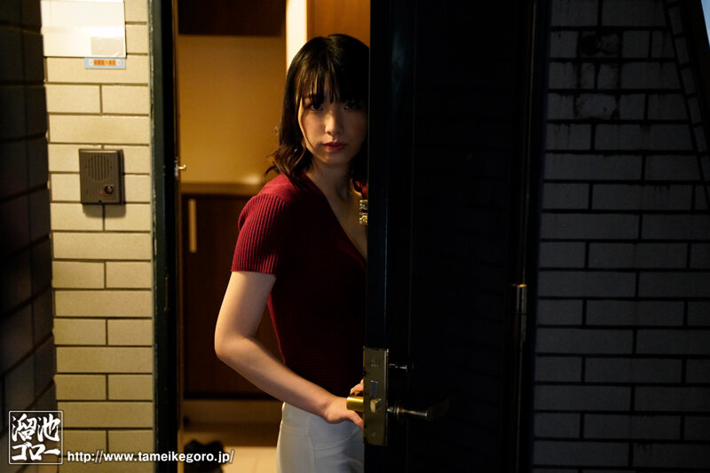 花狩まい(花狩舞)作品PFES-047介绍及封面预览