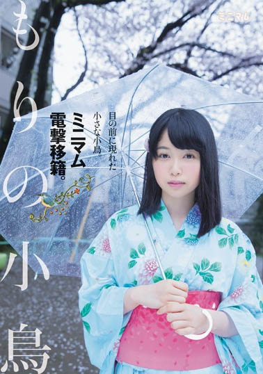 もりの小鸟(森野小鸟,Morino-Kotori)作品FANH-102介绍及封面预览