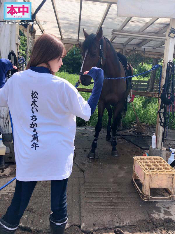 松本いちか(松本一香,Matsumoto-Ichika)作品HMN-283介绍及封面预览