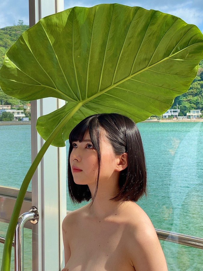 日野莉子(日野りこ)出道作品番号及封面,「日野りこ」个人简介