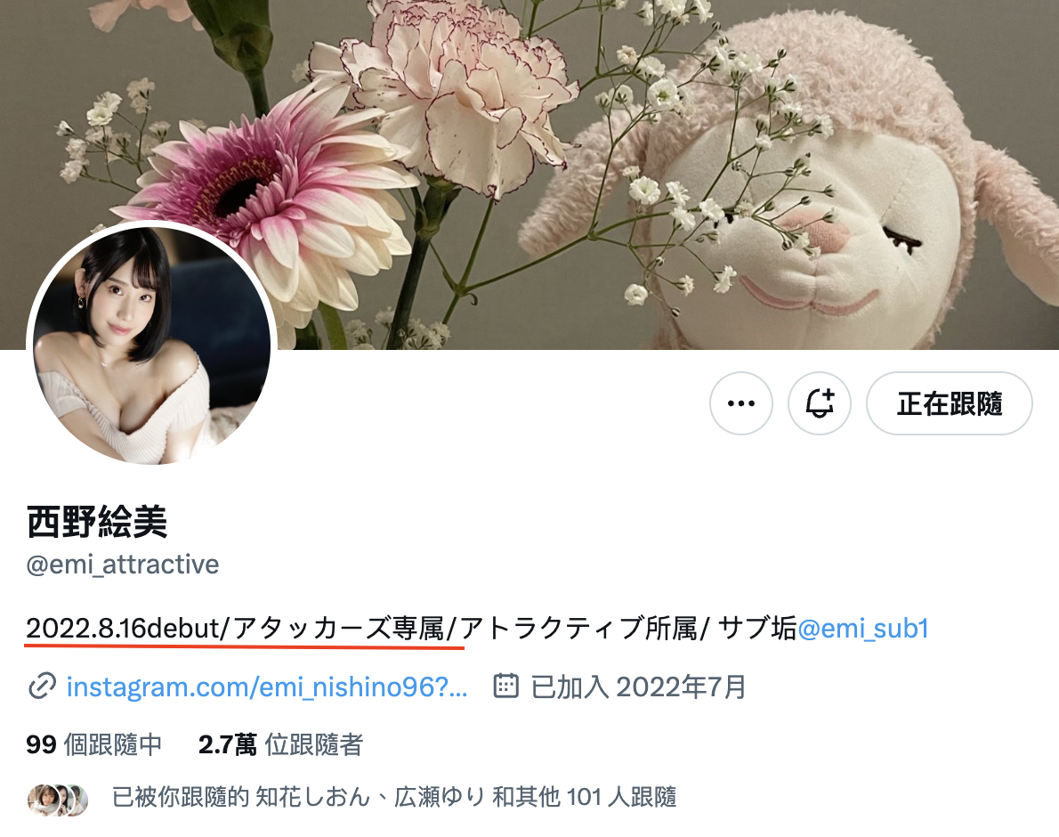 西野絵美(西野绘美,Nishino-Emi)作品ADN-495介绍及封面预览