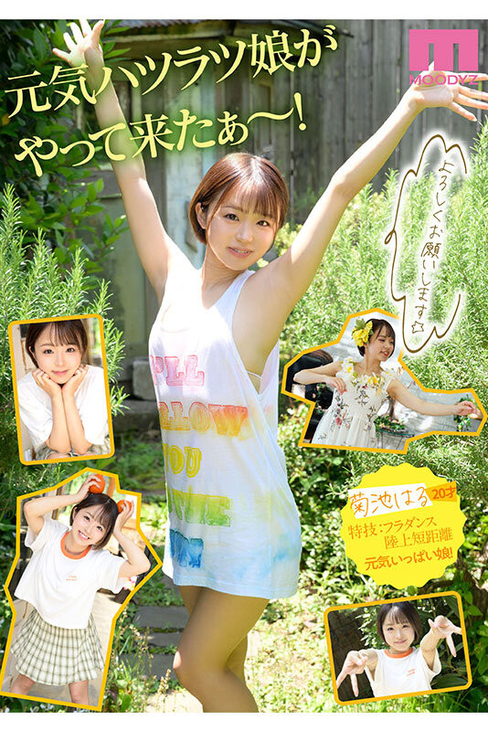 菊池はる(菊池春,Kikuchi-Haru)出道作品MIDV-541介绍及封面预览