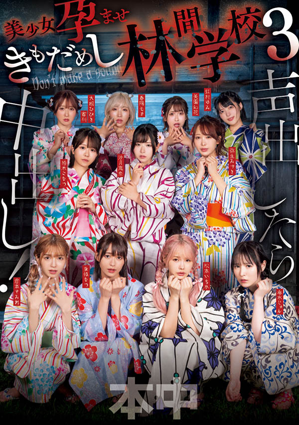 「超级鬼屋惊魂」共演作品HNDS-182介绍及封面预览