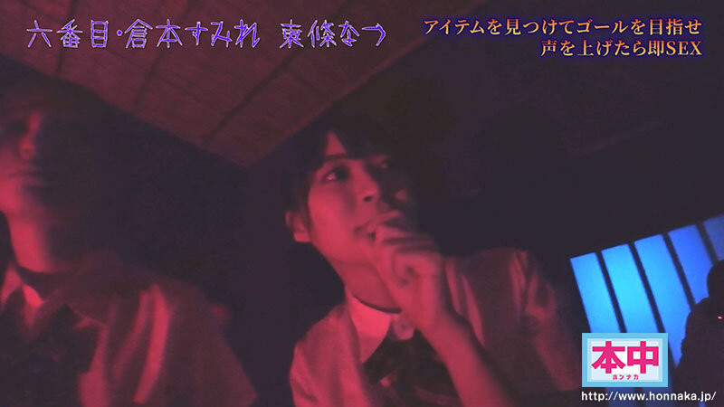 「超级鬼屋惊魂」共演作品HNDS-182介绍及封面预览